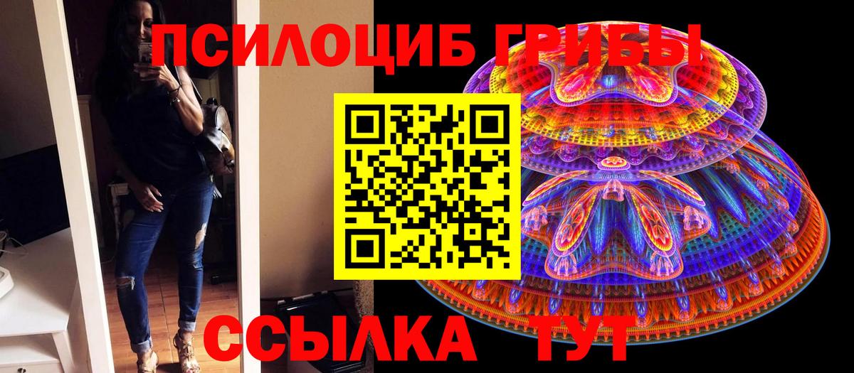 Псилоцибиновые грибы Cubensis  Вход с VPN  Лабинск 